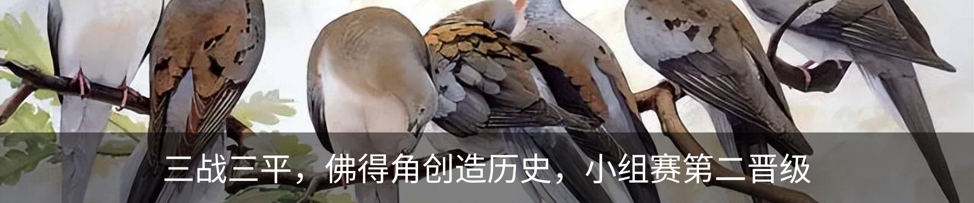 内页banner