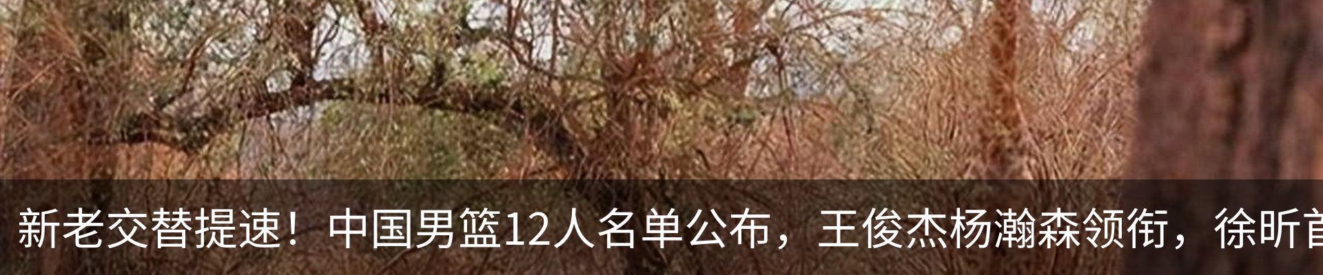 内页banner